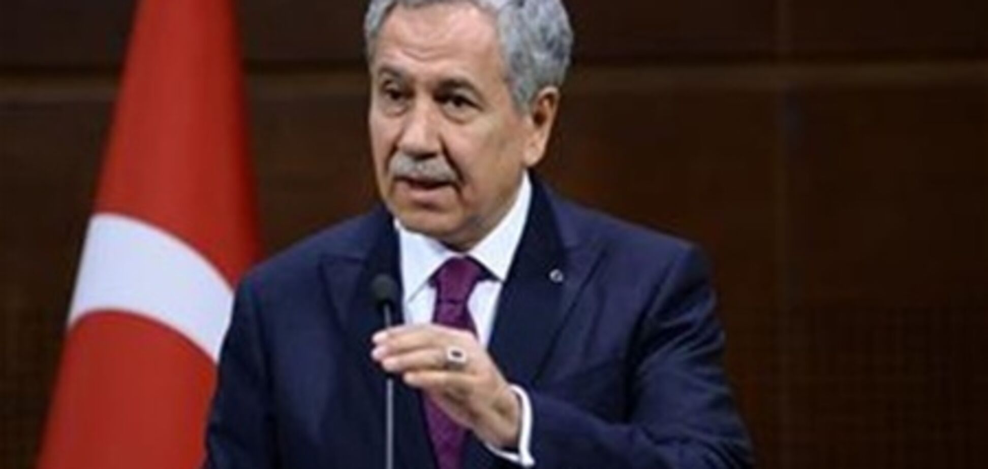 Вице-премьер Турции извинился перед демонстрантами