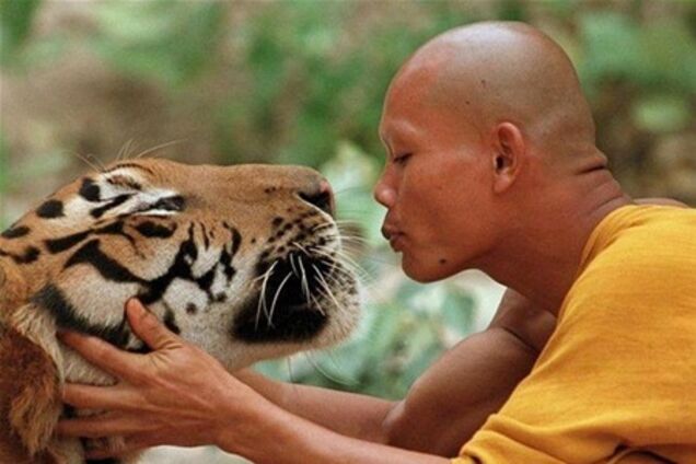 Таиланд приглашает посетить Храм тигров в Канчанабури