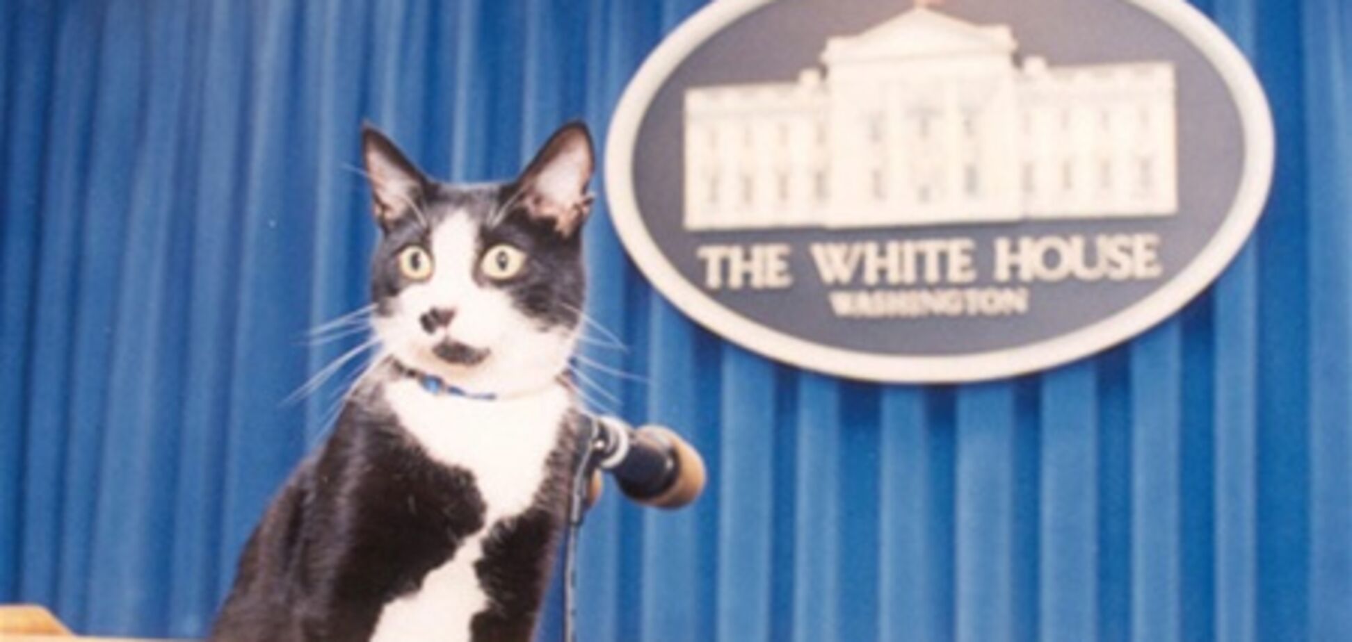 Кішки президентів і прем'єр-міністрів