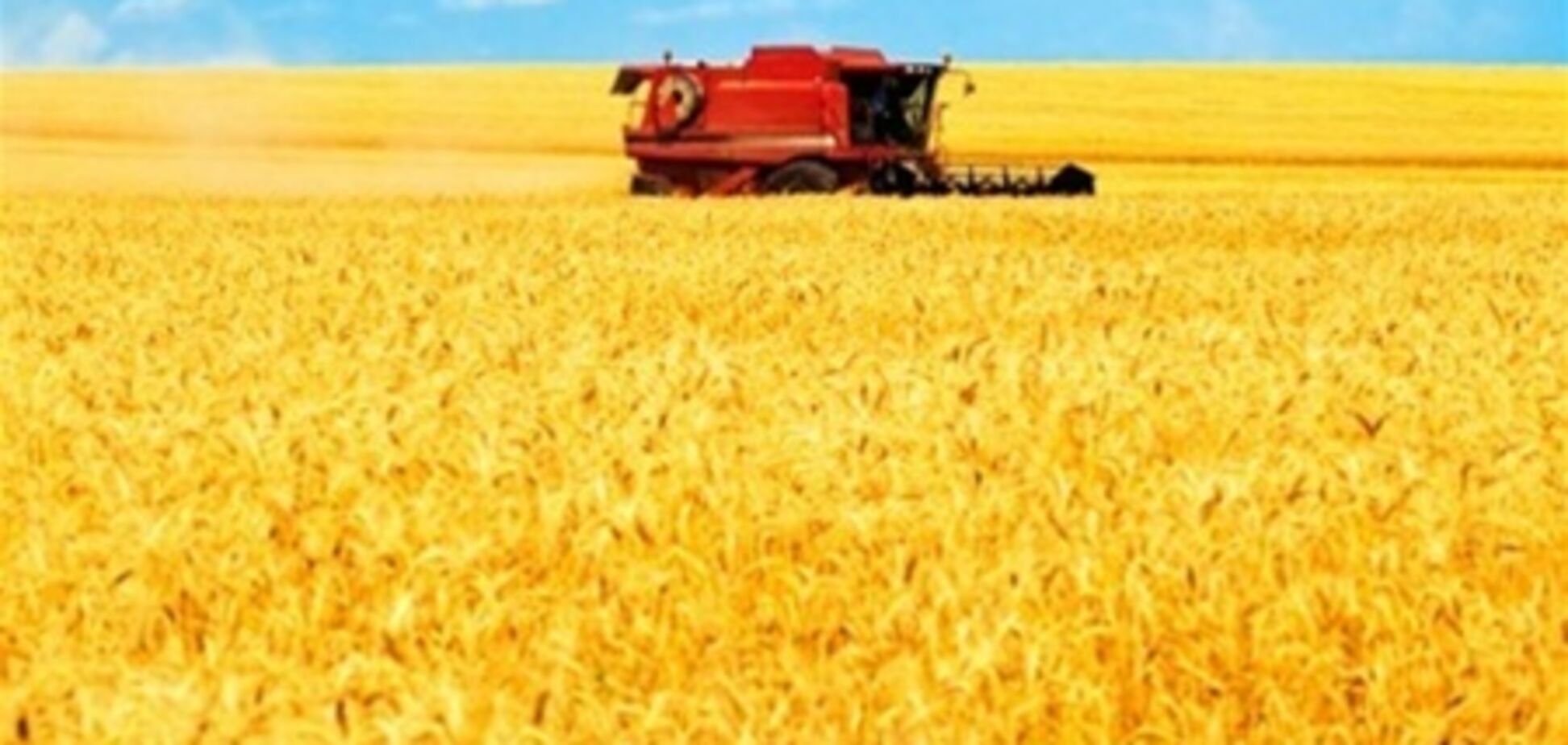 ЗСТ с ЕС угрожает украинским аграриям - СМИ