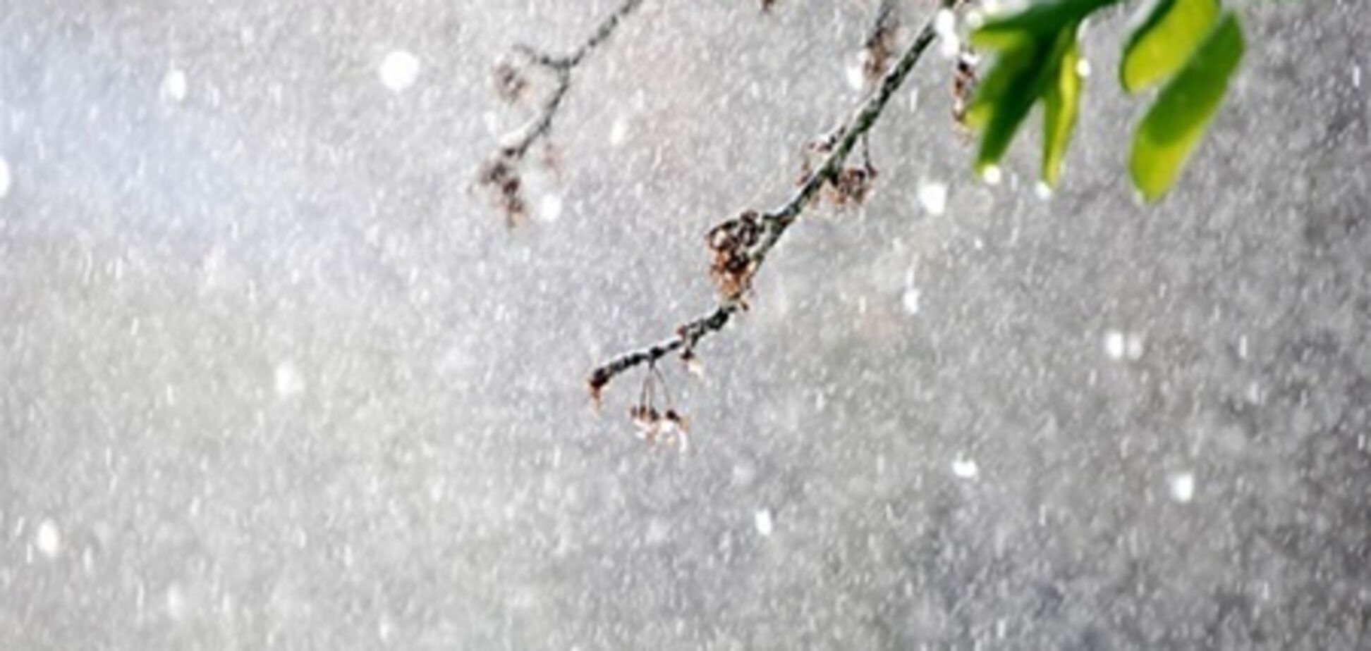 Большую часть Украины накроет градом