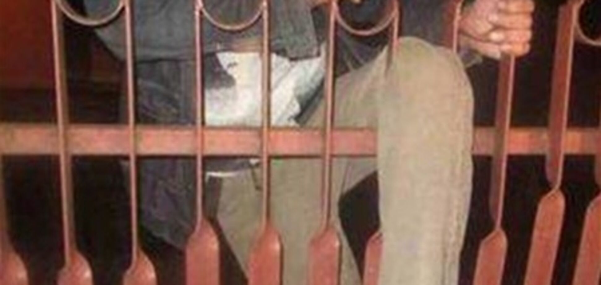 Киевлянин застрял в заборе в центре столицы