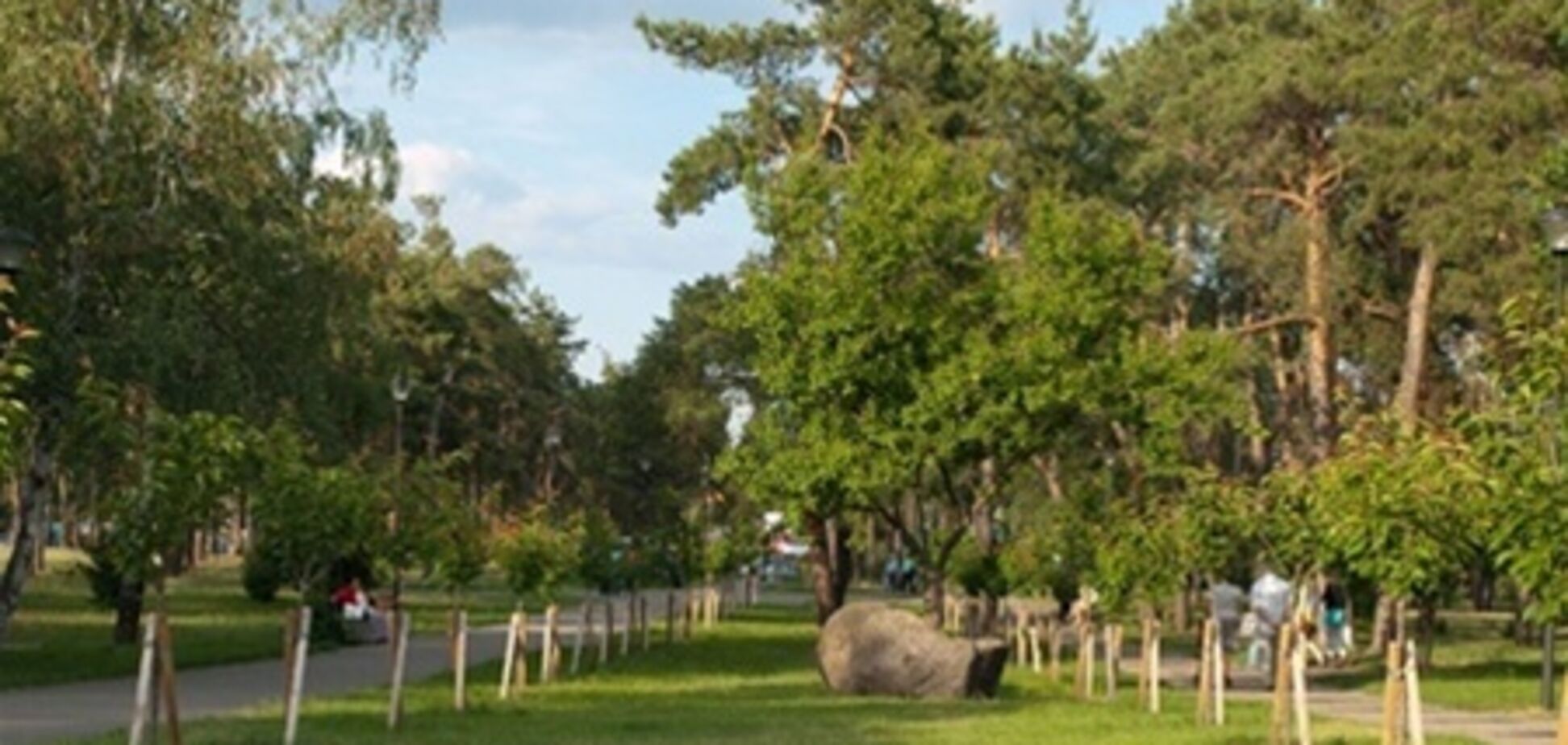 Прокуратура займется гибелью деревьев в киевском парке 'Киото'