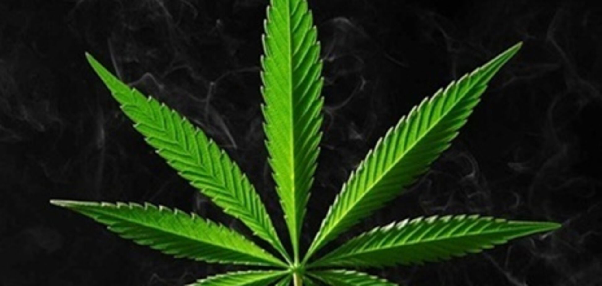 В киевском супермаркете появилось масло из конопли