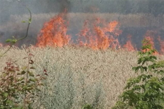 Против поджигателя поля Корнацкого возбудили дело