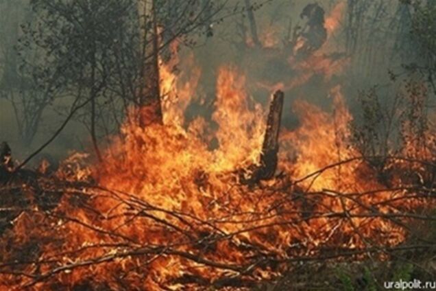 В Україні оголошено надзвичайну і висока пожежна небезпека