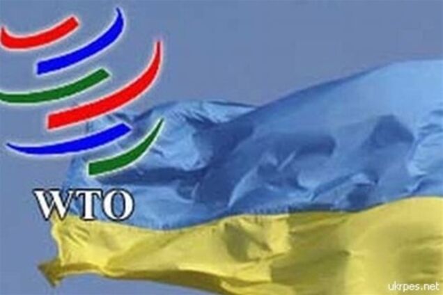 Меры ВТО ударят по отраслям, получающим в Украине господдержку