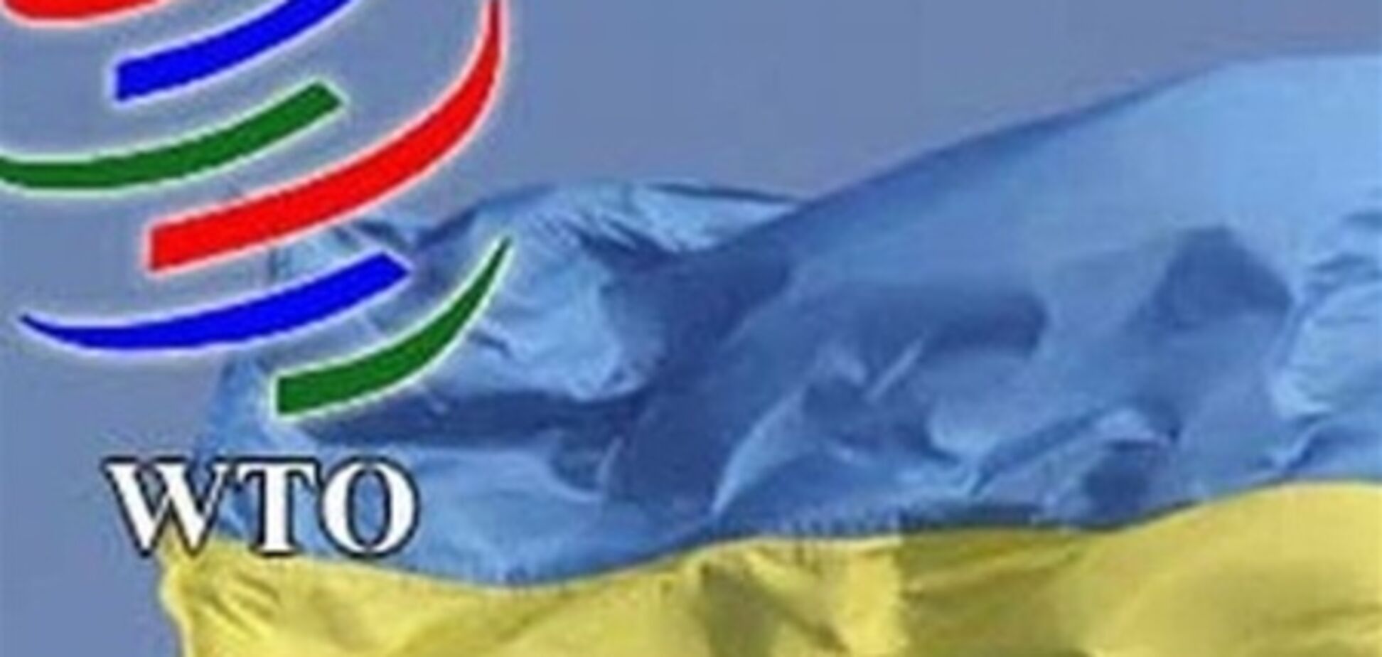 Меры ВТО ударят по отраслям, получающим в Украине господдержку
