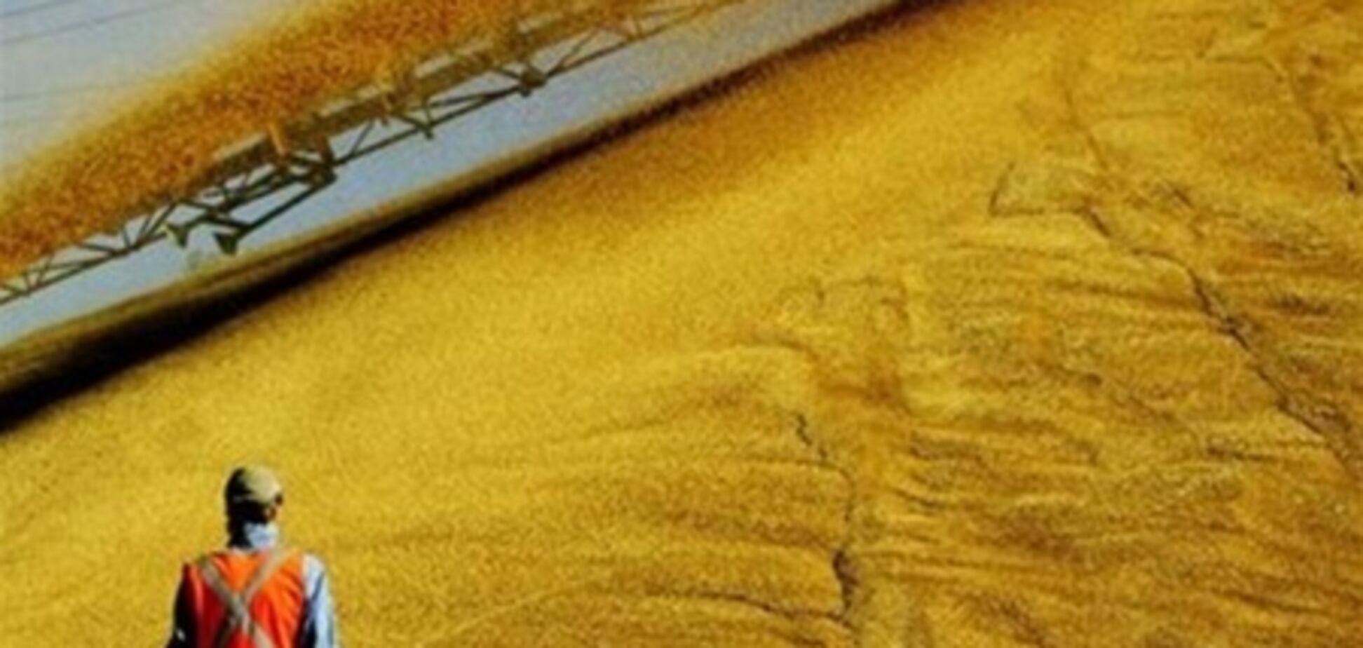 Украина экспортировала 300 тыс. тонн зерна нового урожая - Присяжнюк