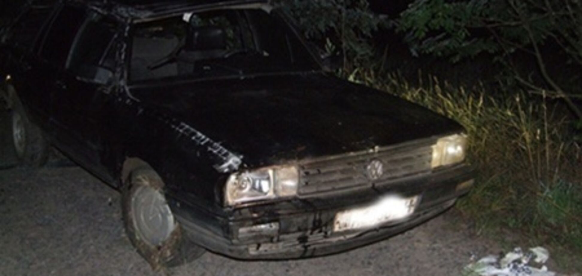 На Ривненщине пьяный водитель, уходя от ГАИ, разбился об дерево