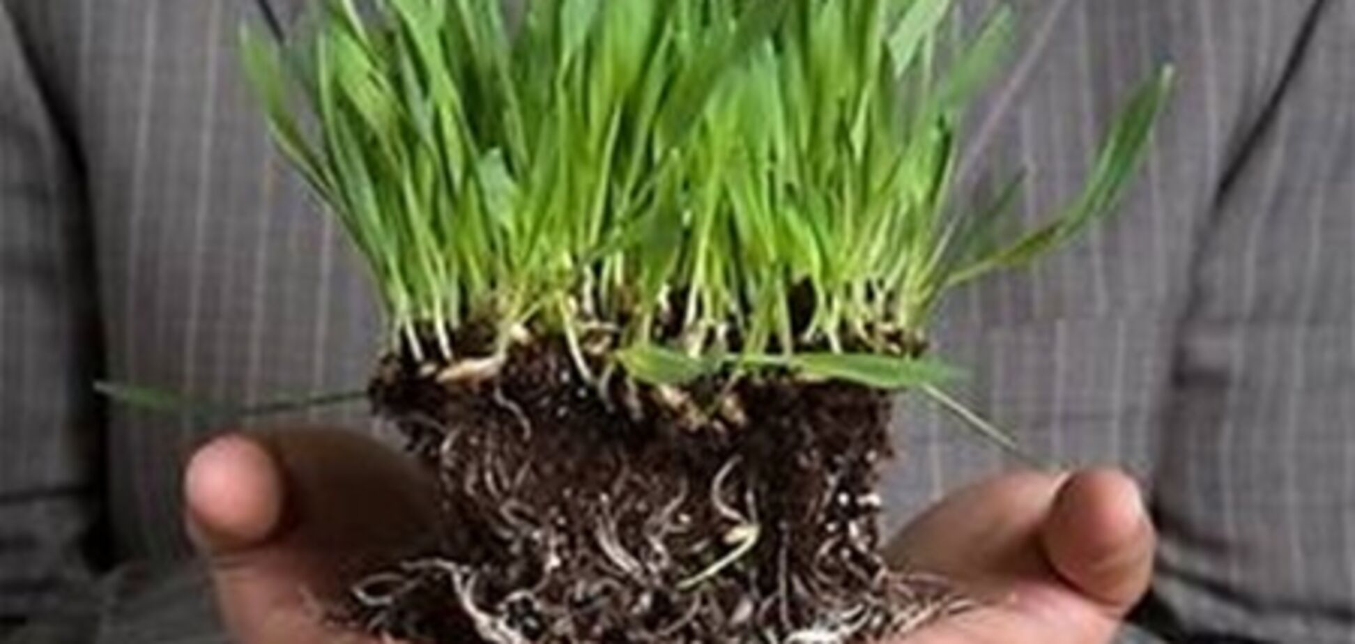 Депутаты упростят механизм налогообложения земли