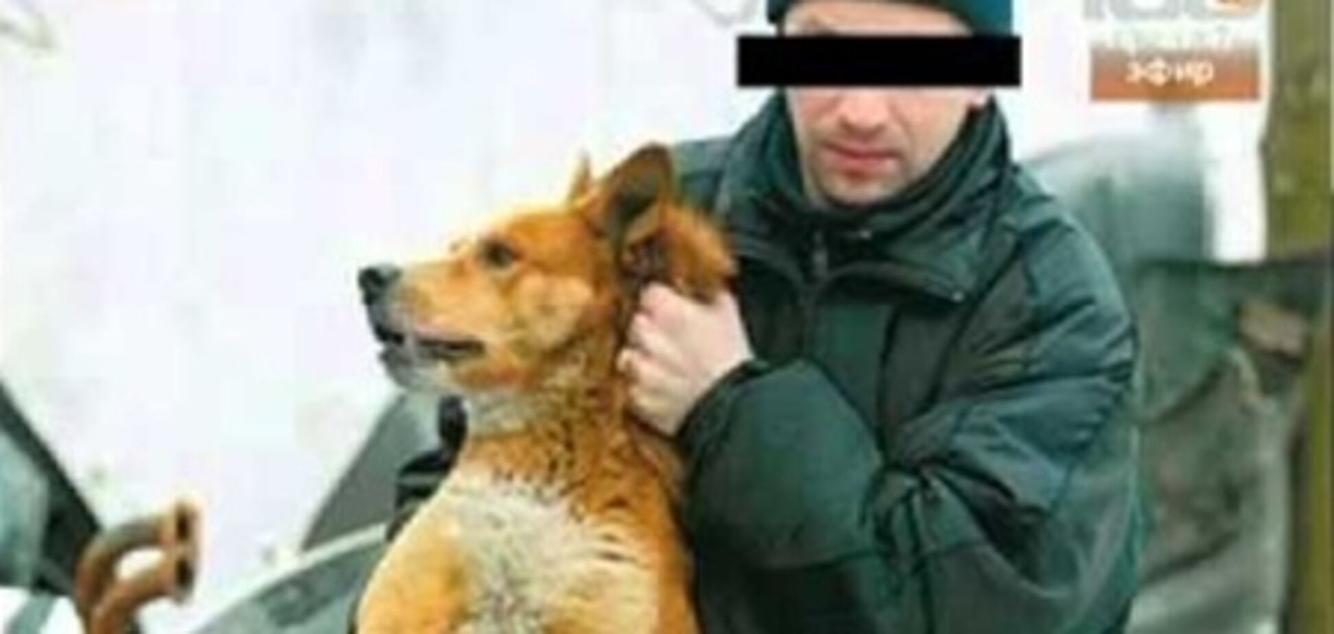 В Одессе догхантеры кормят собак отравленным мясом и снимают на видео