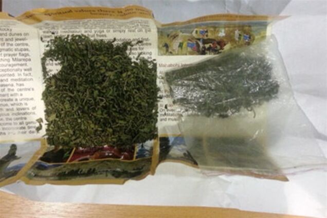 Дві росіянки привезли з Індії ... гербарій з конопель