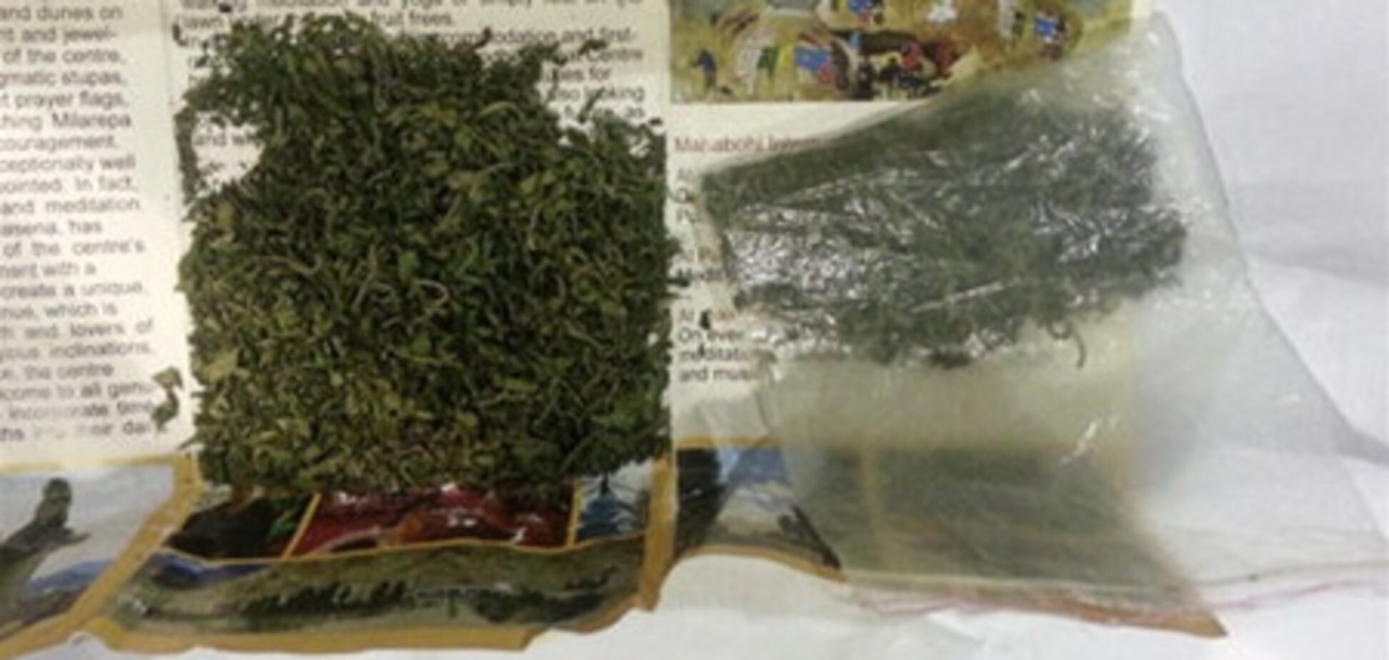 Дві росіянки привезли з Індії ... гербарій з конопель