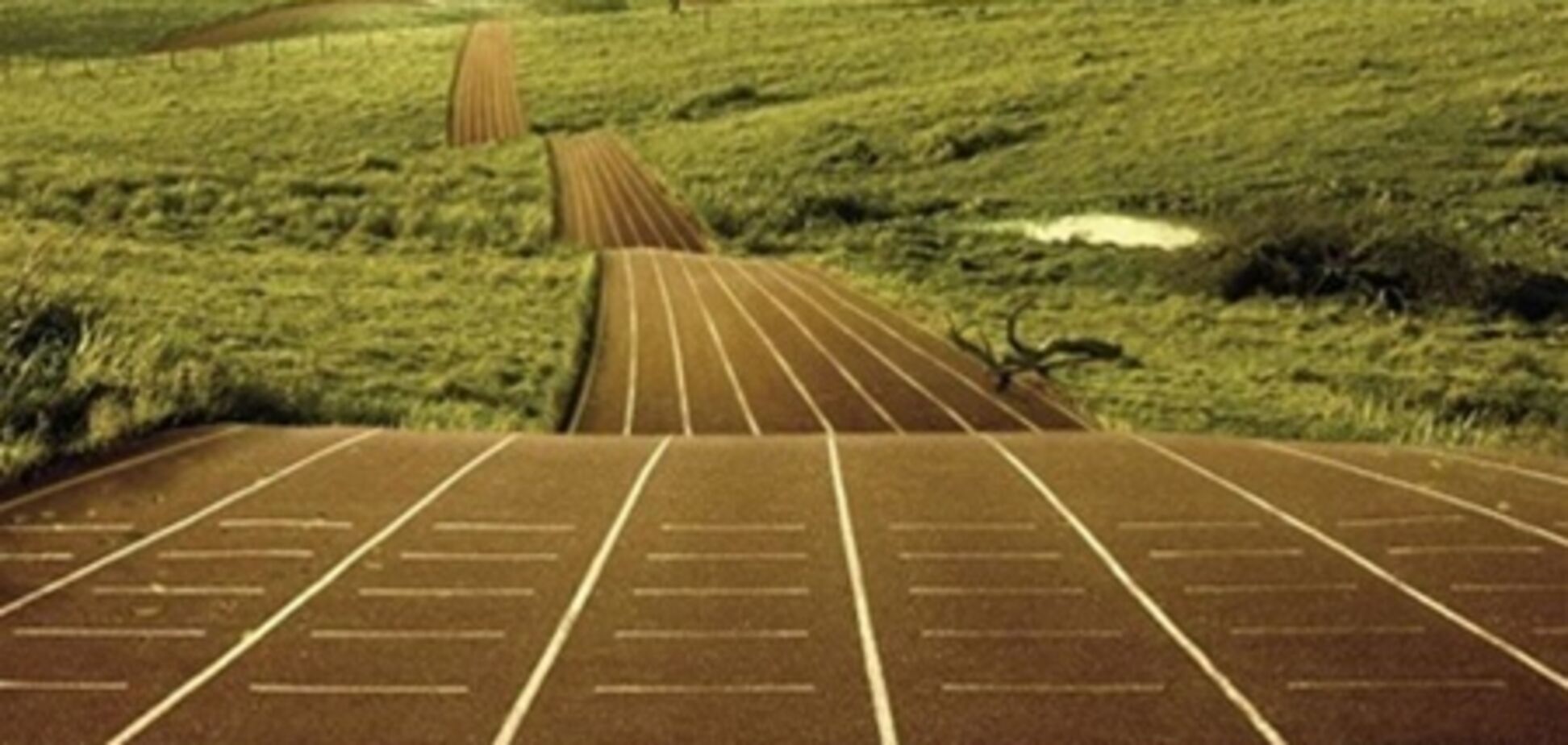 Банковские займы хотят привлечь 40% предприятий