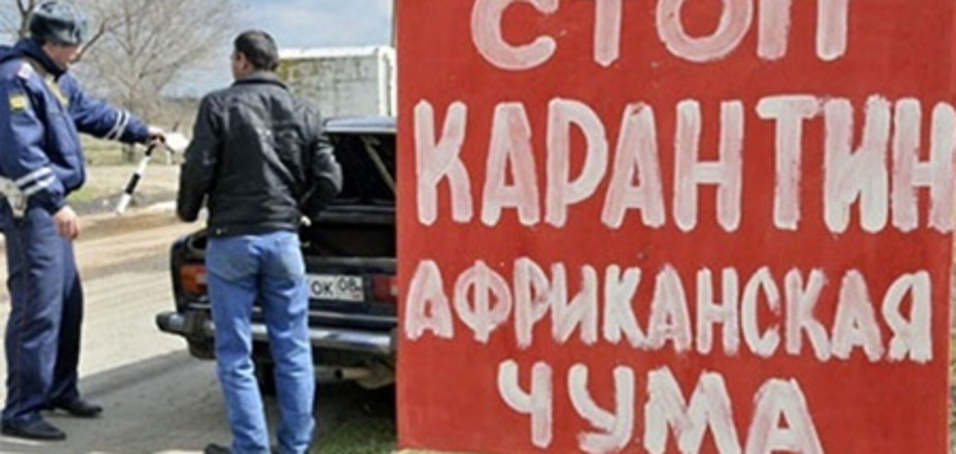 Беларусь ограничила ввоз свинины из России
