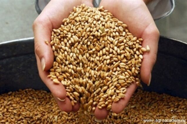 Украина приостановила транзит зерна из России