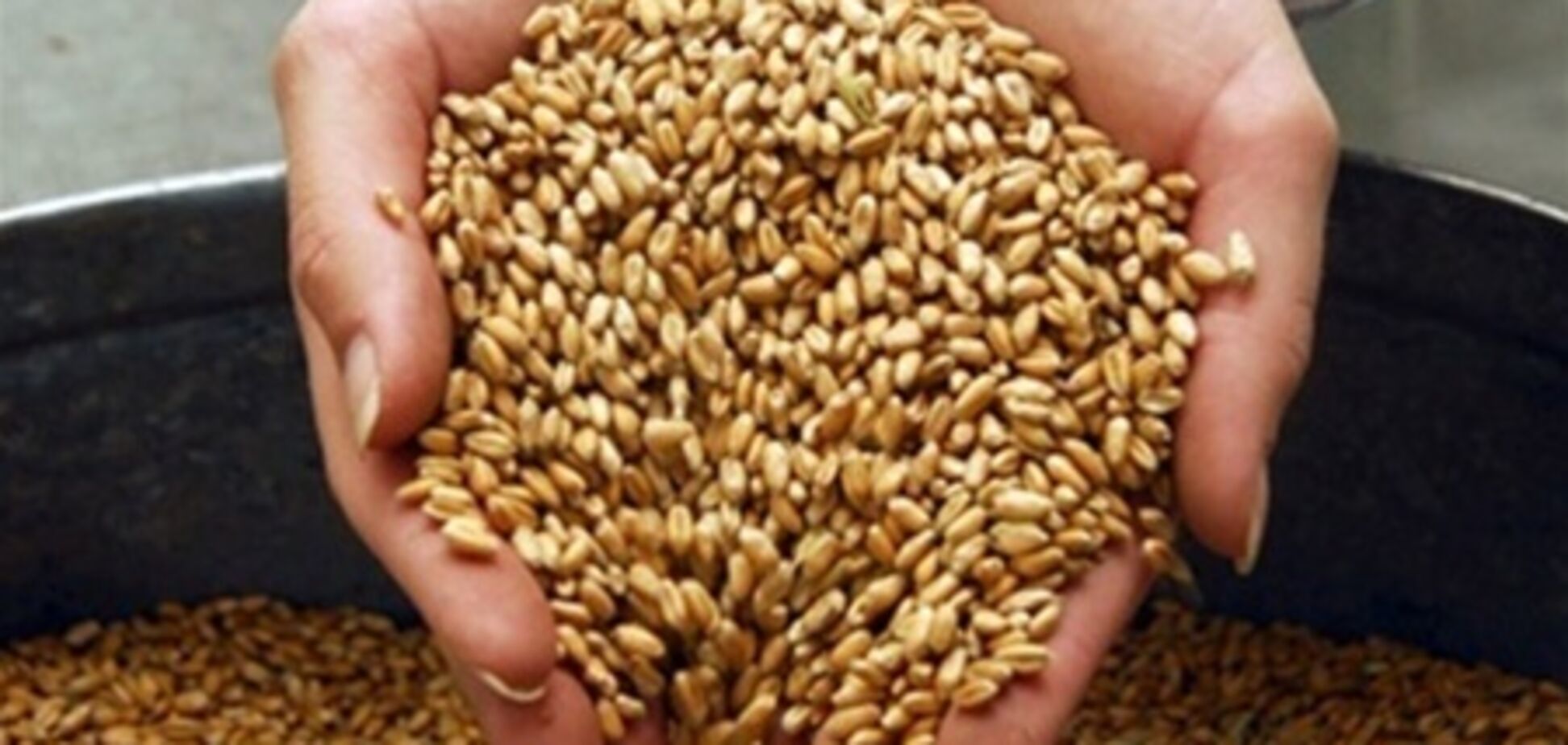 Украина приостановила транзит зерна из России