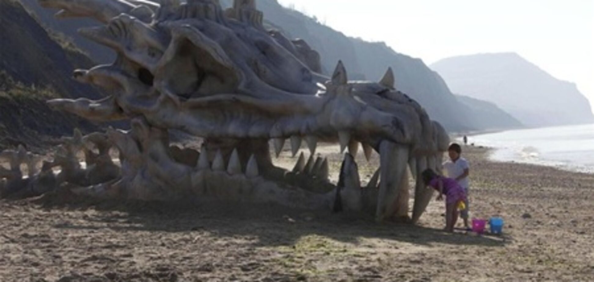 На пляже Британии обнаружили голову дракона