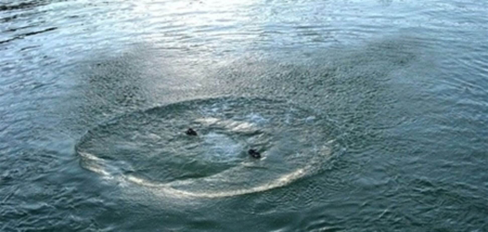 Возле фонтана Порошенко утонул юноша