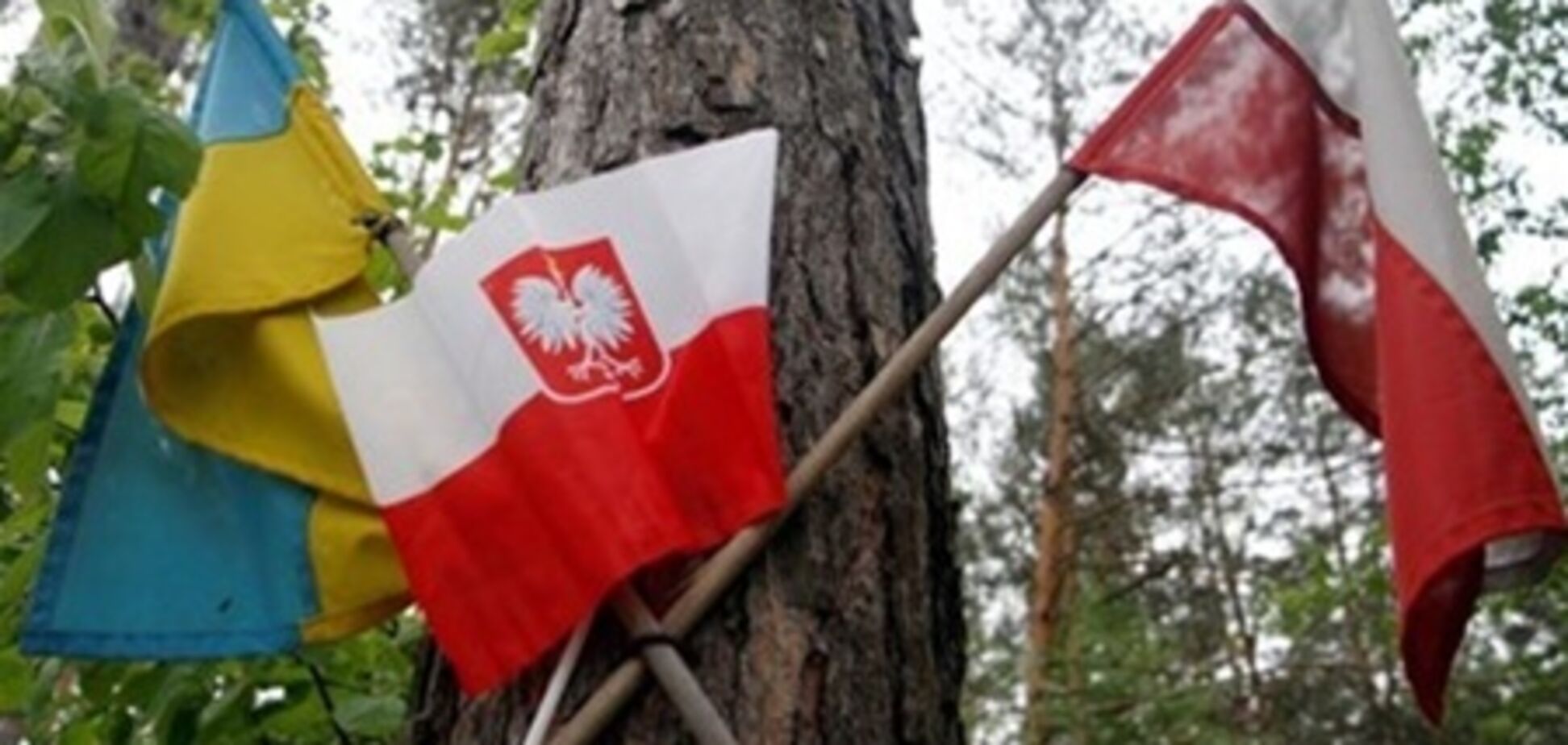 Луцкому горсовету не хватило голоса для обвинения Польши в шовинизме