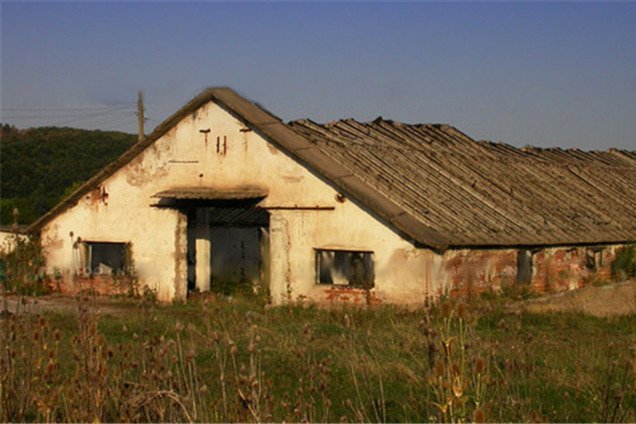 На Полтавщині стіна старої ферми вбила хлопця