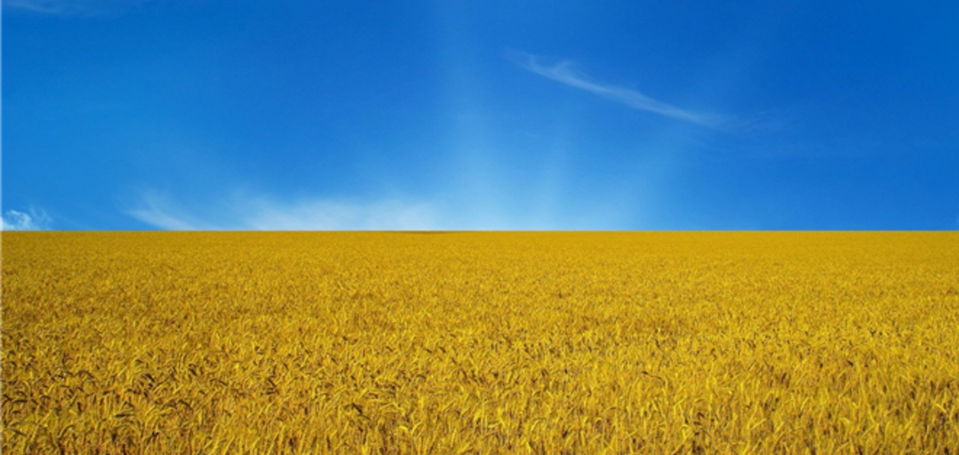 Украина попала в топ-10 стран по объему земли на продажу