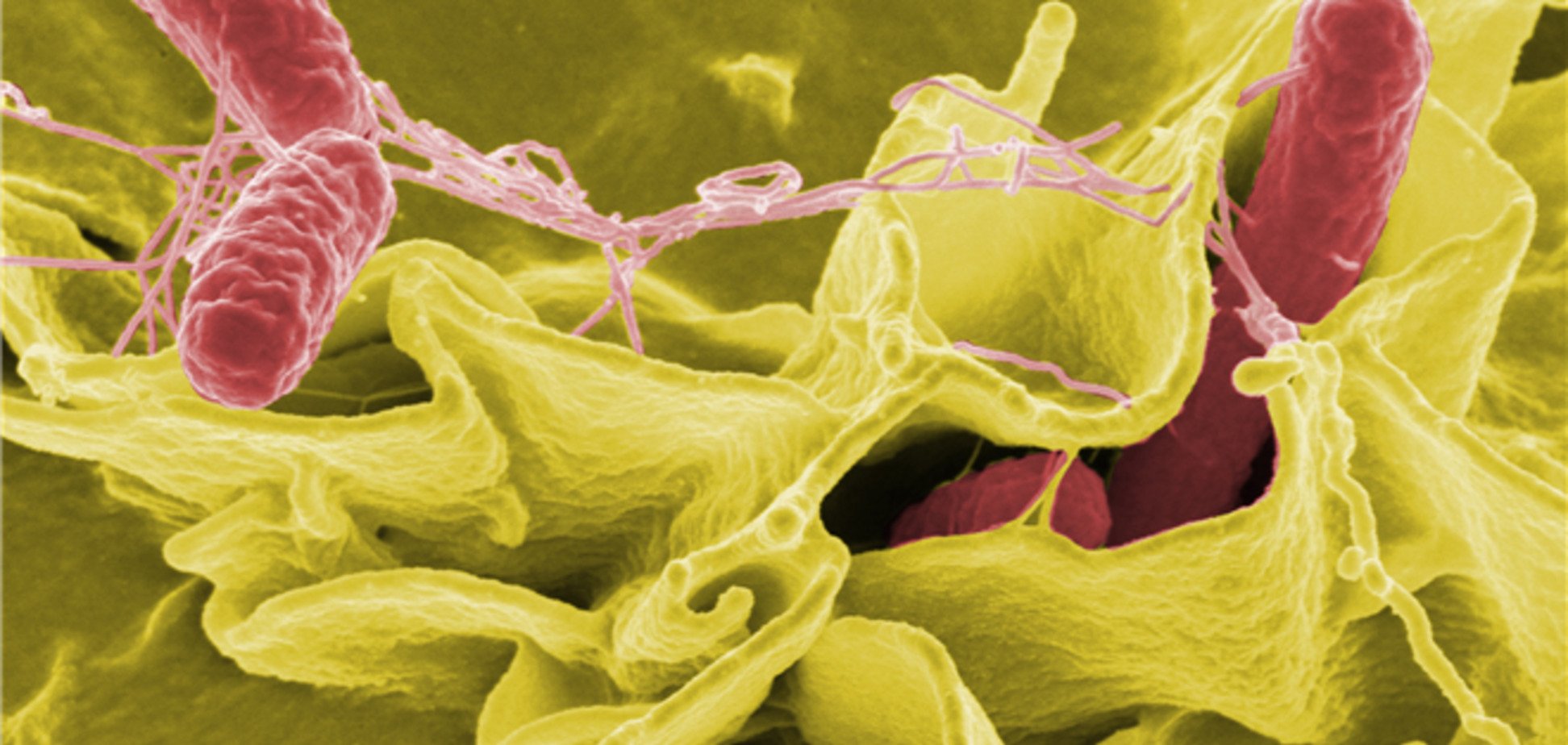 Отравление в киевском Samsung: обследованы 102 человека