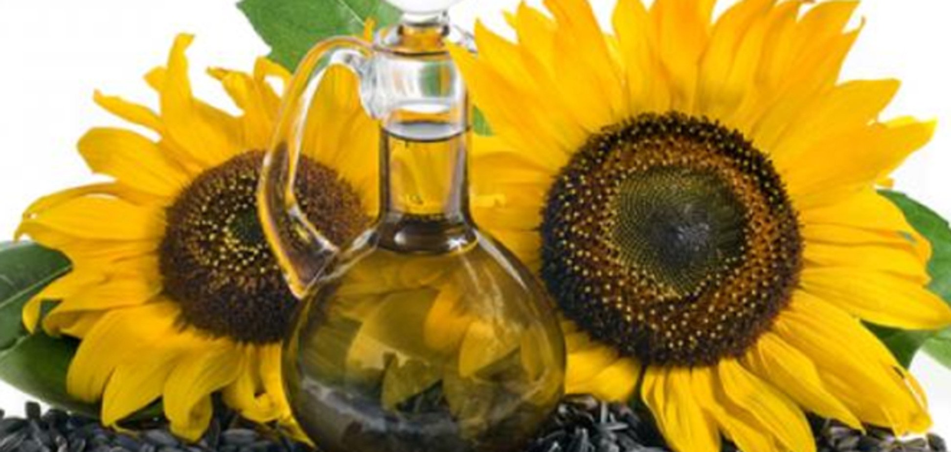 Експерт: цены на подсолнечник в Украине завышены, торговая активность – нулевая