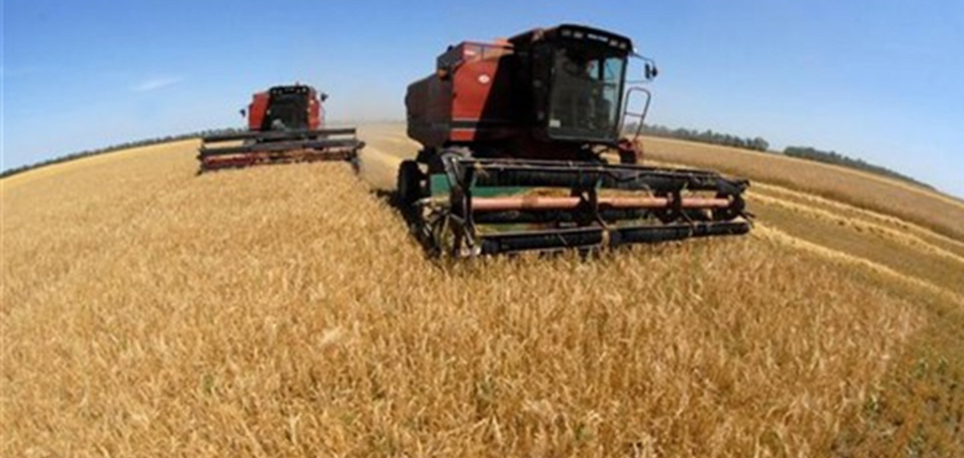 Арбузов: аграрии Украины соберут рекордный урожай зерновых