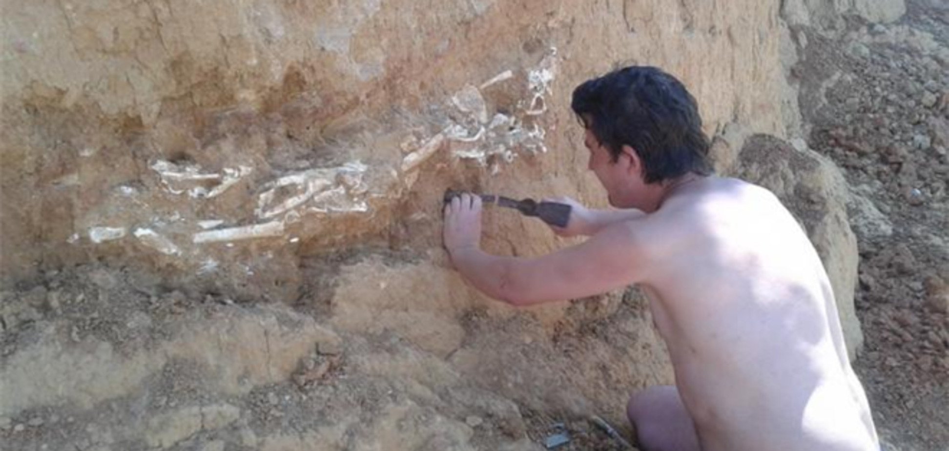 Житель Крыма обнаружил скелет доисторической лошади