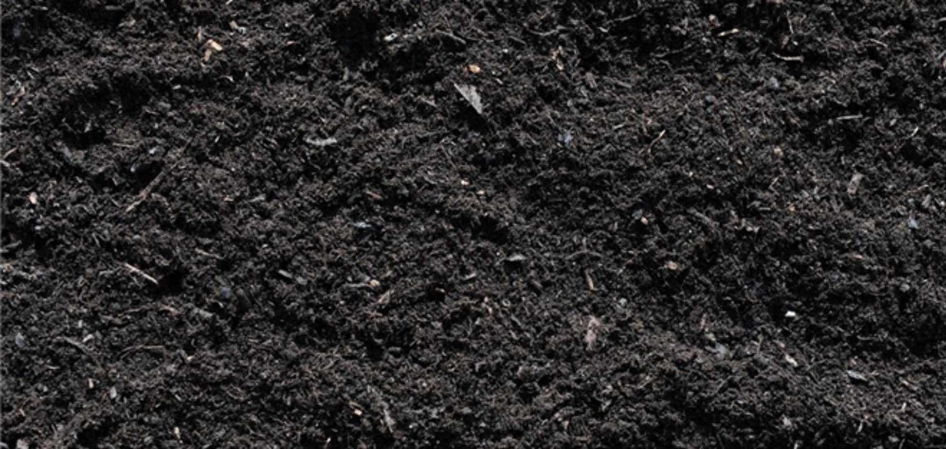 На Житомирщине во время ремонта дороги украли чернозема на полмиллиона гривен