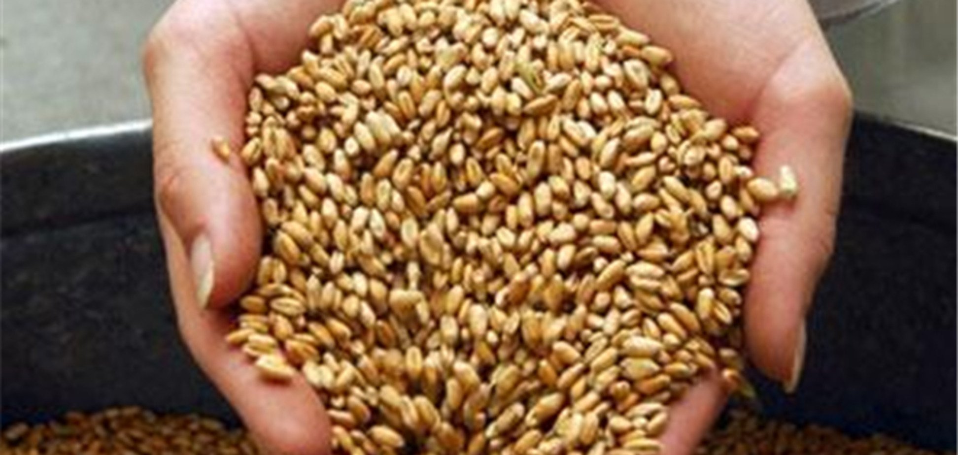 Мировые цены на зерно сильно обвалились