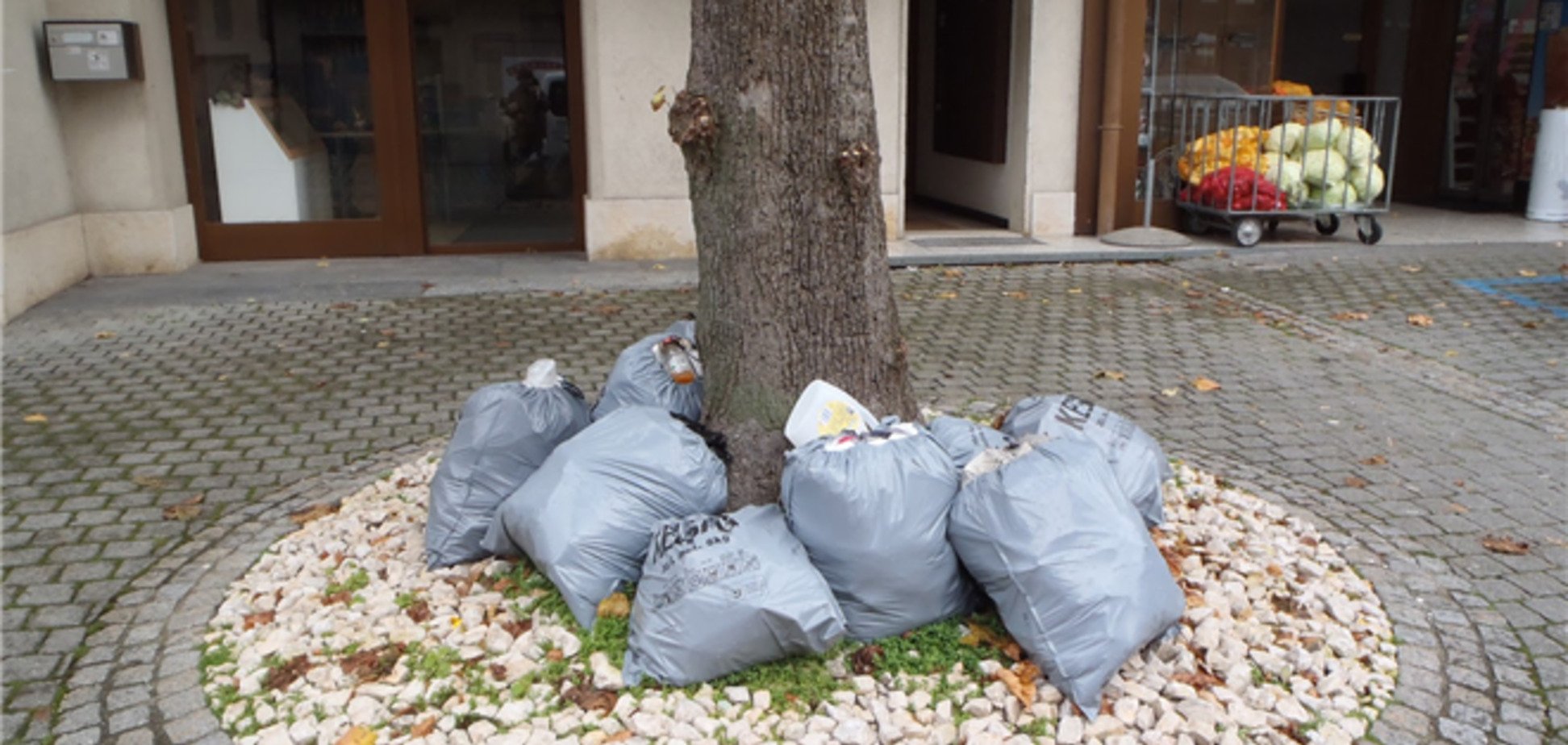 11 способов сделать планету чище