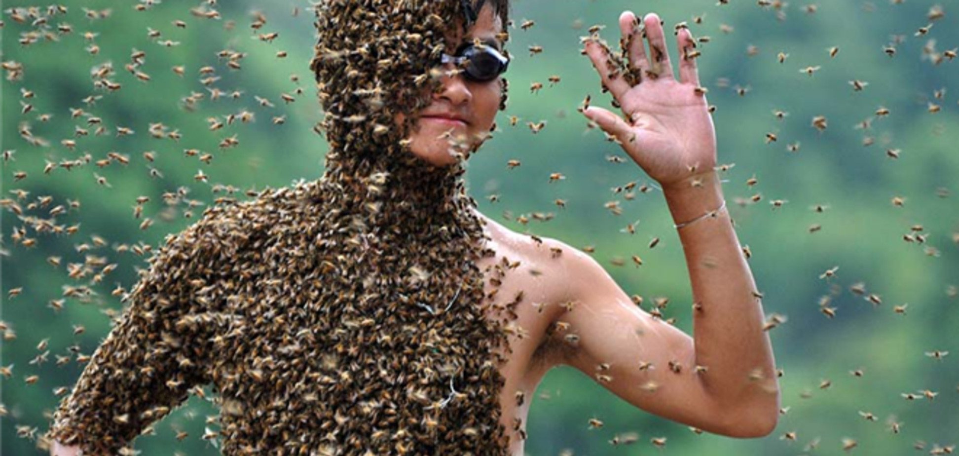 В Техасе 30 тысяч пчел напали на женщину, мужчину и пони