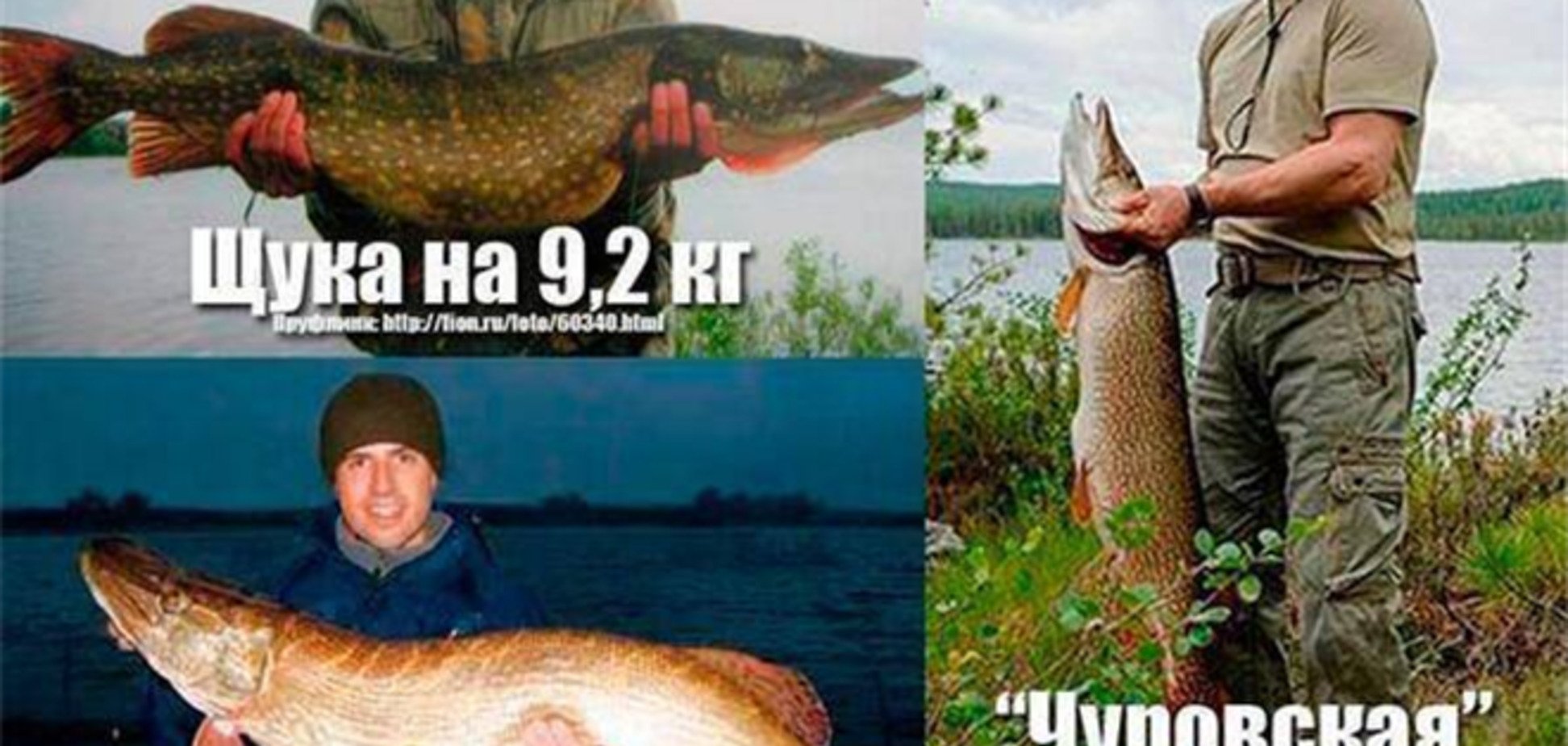 Путин и щука: блогеры заподозрили обман