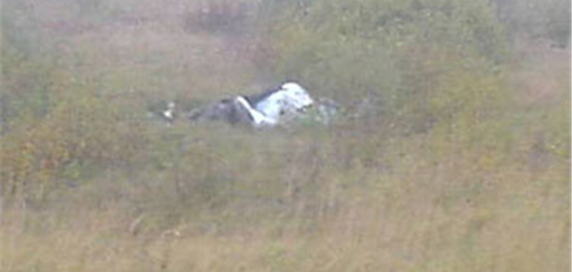 У Красноярському краї впав літак: загинув пілот