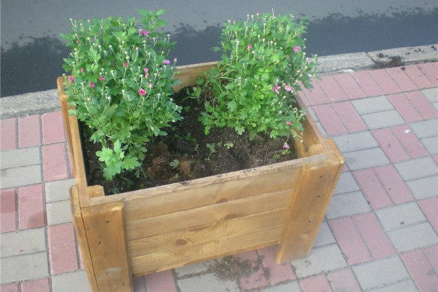 В центре Киева разграбили недавно установленные цветочные тумбы