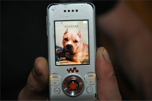 В Тернополе на милиционеров натравили бойцовскую собаку: им пришлось отстреливаться