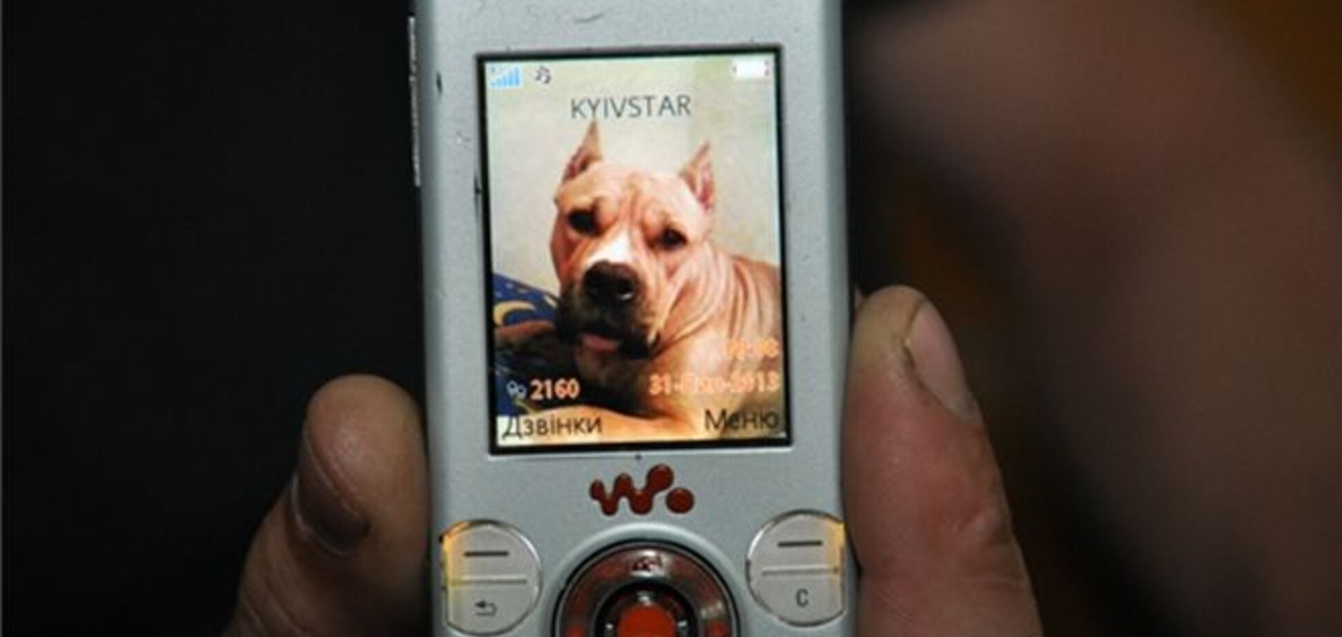У Тернополі на міліціонерів нацькували бійцівську собаку: їм довелося відстрілюватися