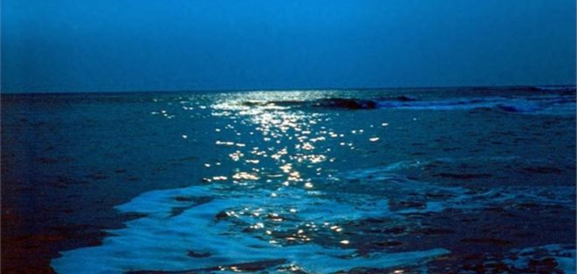 В Черное море на Одесщине вылили 300 л пальмового масла