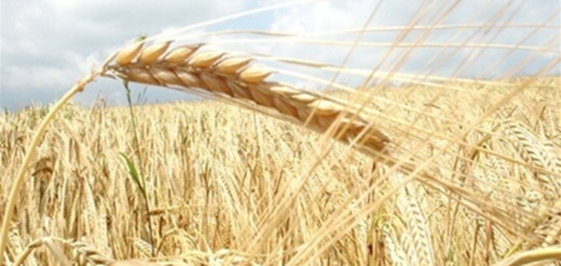Украина запрещает прием российского зерна