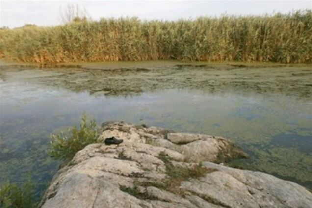 На Черкащині у річці потонув 5-річна дитина