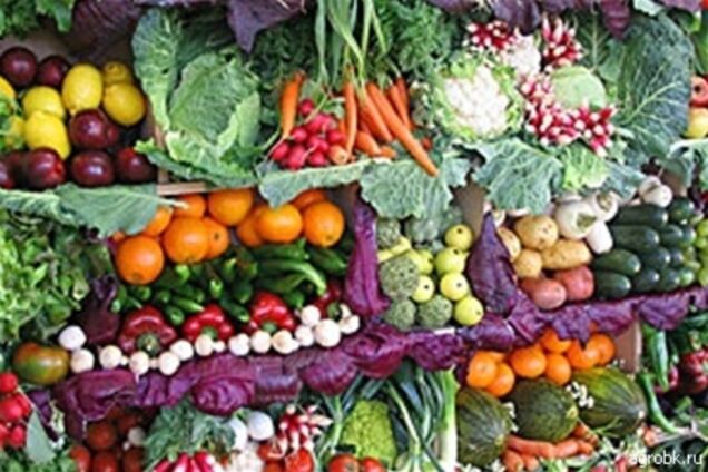 Украина увеличила экспорт овощей в 4 раза