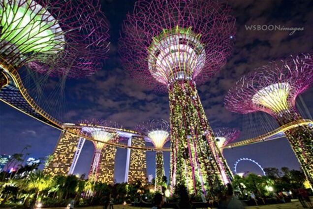 В Сингапуре открылся удивительный сад на берегу залива