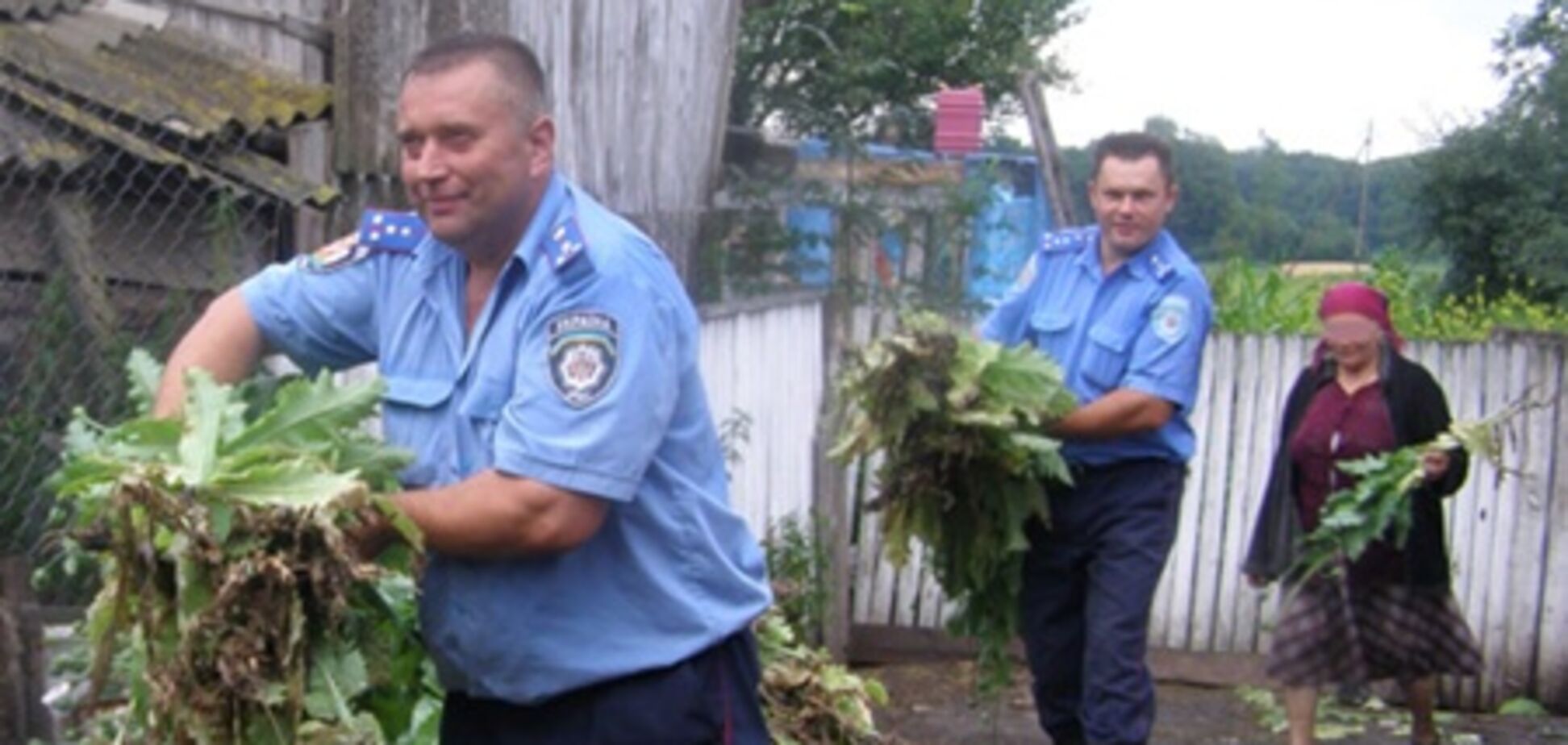 На Житомирщине бабушка поставила рекорд по выращиванию мака