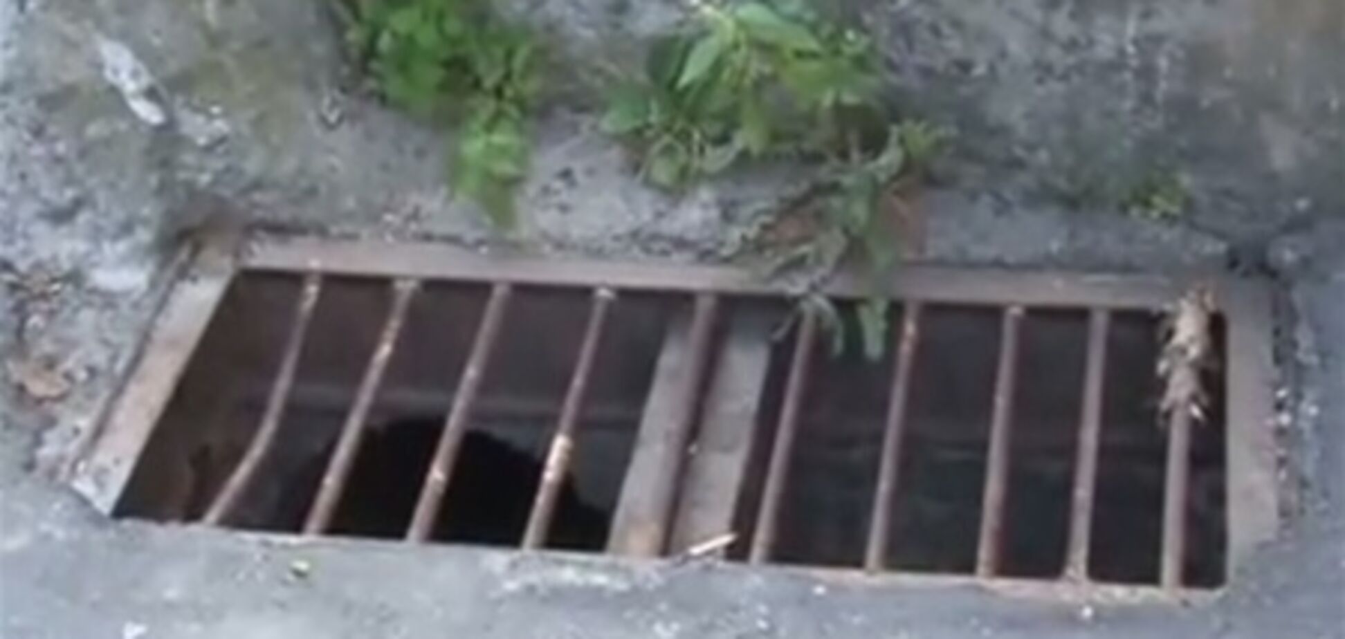У Львові 10-річний хлопчик застряг у решітці водостоку