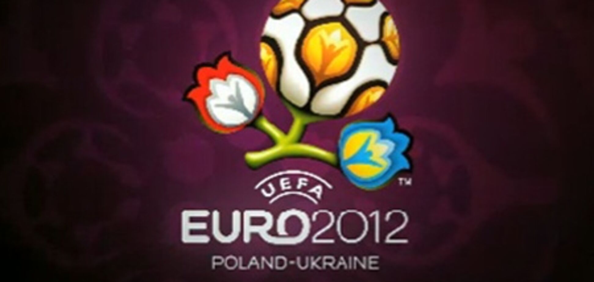 На Киевщине руководство вуза присвоило 'деньги Евро-2012'