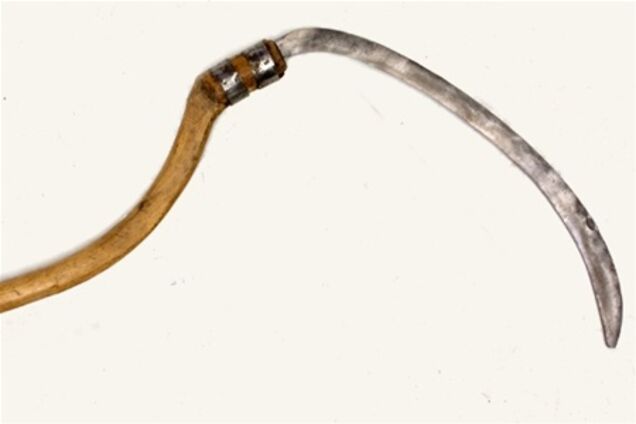 На Закарпатті чоловік косою перерізав собі горло