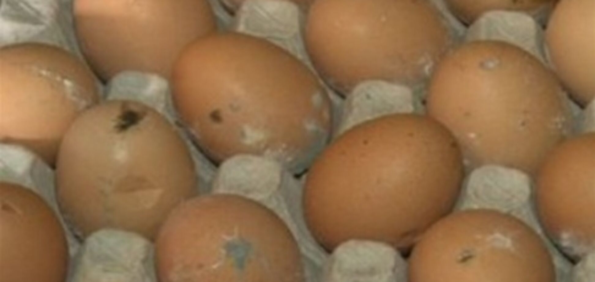 На Черкасщине обнаружили 20 тонн бракованных яиц